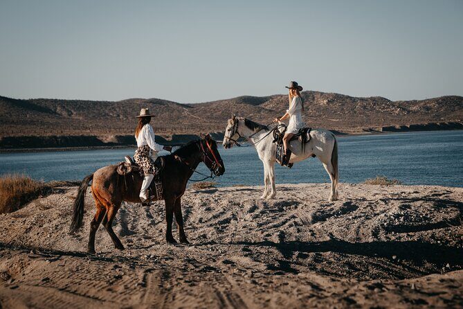 Beach and Desert Scenic Horseback Ride in Baja California Sur - Key Points
