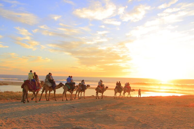 Beach ATV & Camel Ride COMBO in Cabo by Cactus Tours Park - Who Is This Tour Best For?