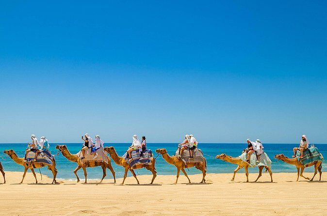 Beach ATV y Camel Ride y Sky Bike Adventure - Facilities and Child-Friendly Features