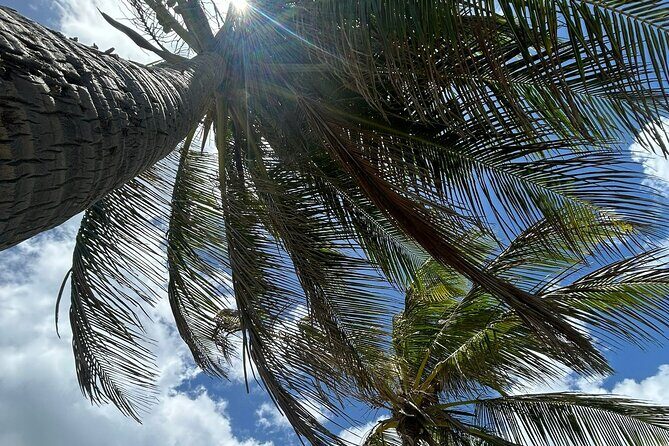 Beach Bliss Yoga in San Juan - The Experience: Authenticity and Connection