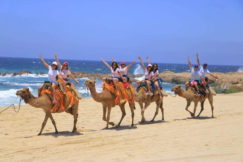 Beach CAN-AM SXS X3 & Camel Ride in Cabo by Cactus Tours - Key Points