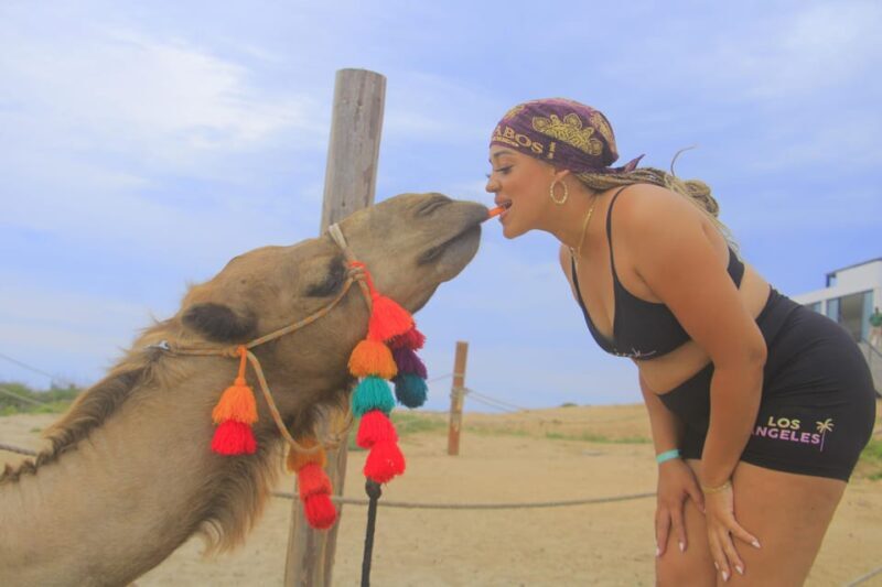 Beach CAN-AM SXS X3 & Camel Ride in Cabo by Cactus Tours - Similar Experiences to Consider