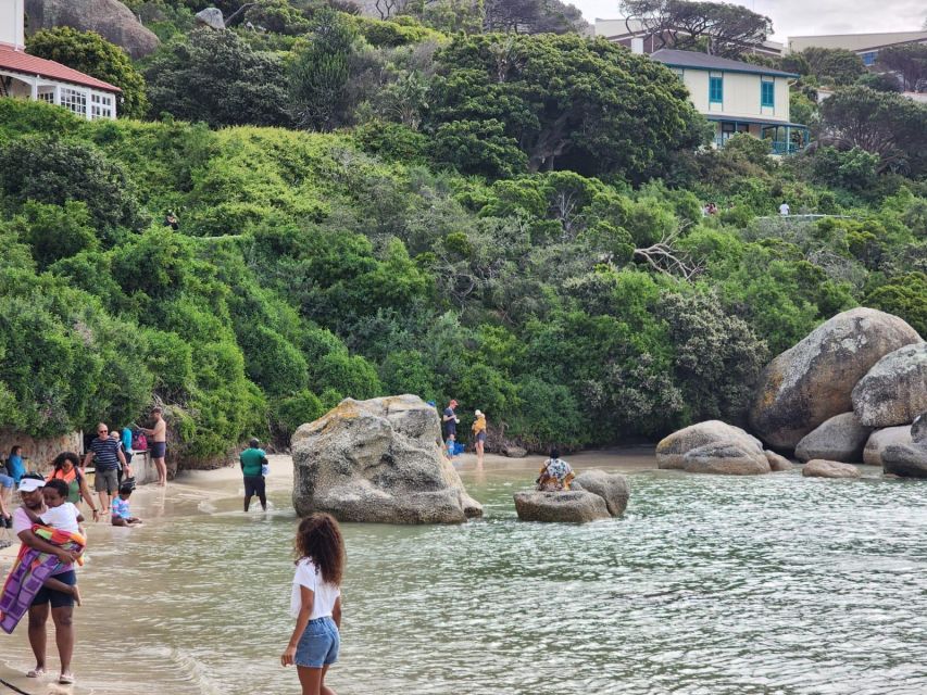 Beach Day at Boulder's Beach & Penguin watching, Half Day - Who Will Love This Tour?
