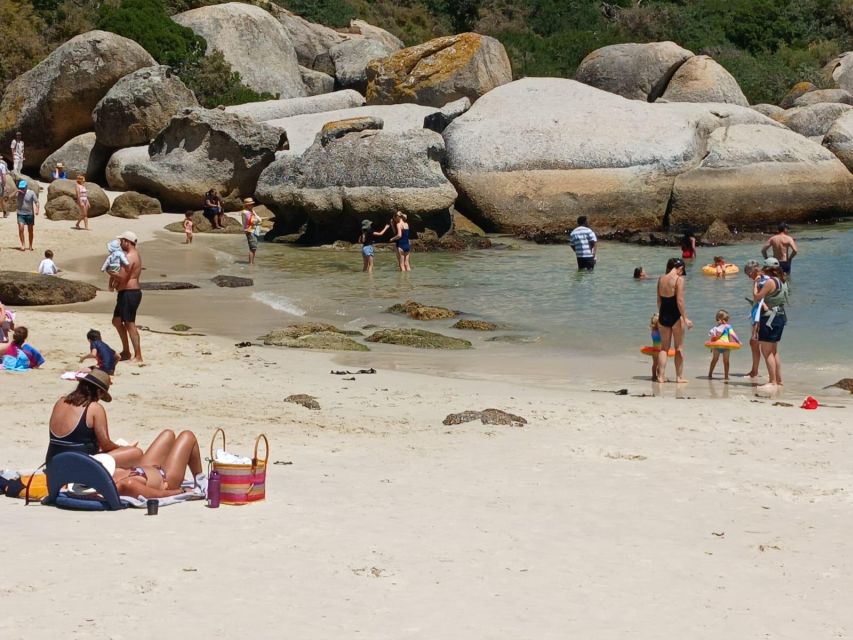 Beach Day at Boulder's Beach & Penguin watching, Half Day - The Sum Up