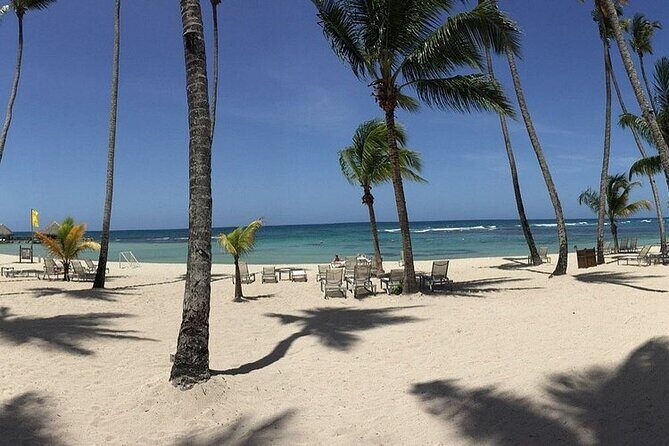 Beach Day from Santo Domingo with Lunch - An In-Depth Look at the Tour Itinerary