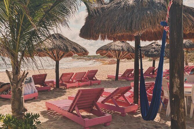 Beach day in Cozumel with roundtrip transportation - A Practical Look at the Cozumel Beach Day Experience