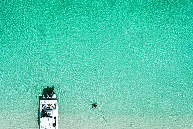 Beach Day Swim with Turtles and Pigs Excursion in Nassau - Final Words