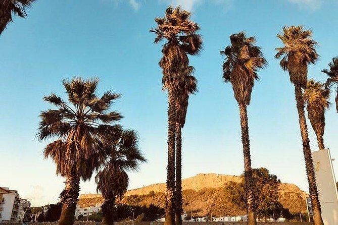 Beach Day with lunch. - The Sum Up: Is This Tour Worth It?