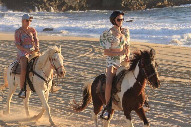 Beach & Desert Horseback Tour - What to Keep in Mind