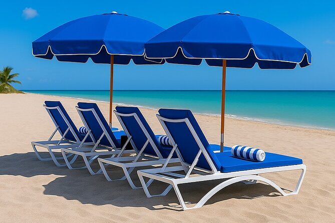 Beach Equipment Rentals - Who Should Consider This?