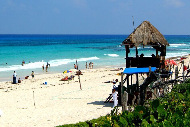 Beach Guardians Clean up & Picnic plus Otoch Mayan Experience - What to Expect from the Beach Guardians Tour