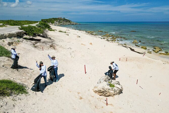 Beach Guardians Clean up & Picnic plus Otoch Mayan Experience - Who Will Love This Tour?