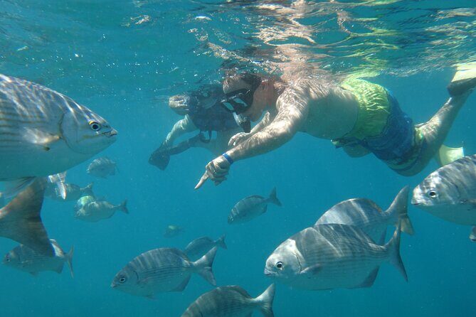 Beach Hopper, Amazing Snorkel Experience At Los Cabos! - The Value of This Experience