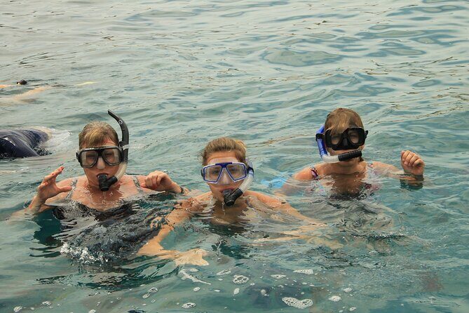 Beach Hopper, Amazing Snorkel Experience At Los Cabos! - Practical Tips for Participants