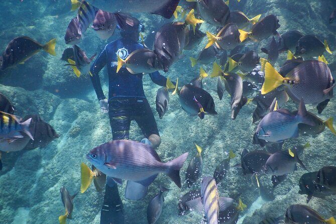 Beach Hopper, Amazing Snorkel Experience At Los Cabos! - The Sum Up: Who Should Book This Tour?