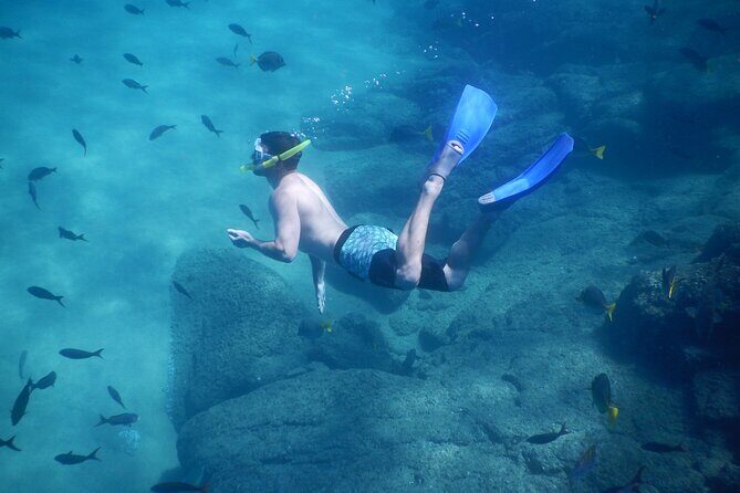 Beach Hopper, Amazing Snorkel Experience At Los Cabos! - FAQ: Your Practical Questions Answered