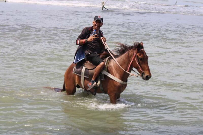 Beach horse back riding with countryside - Key Points