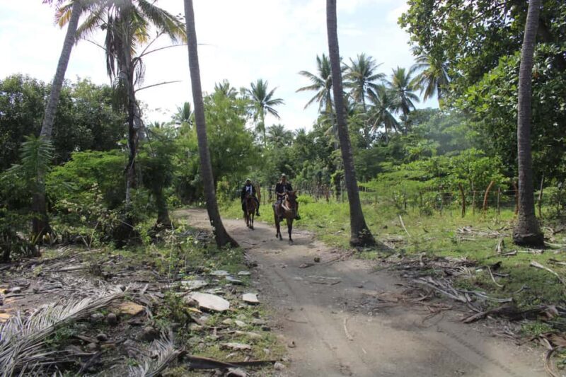 Beach horse back riding with countryside - In Closing: Why This Tour Offers Value