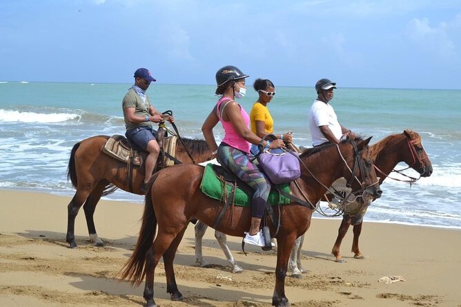 Beach Horse Ride and Countryside Amber Cove & Taino Bay - Capturing Tropical Fauna