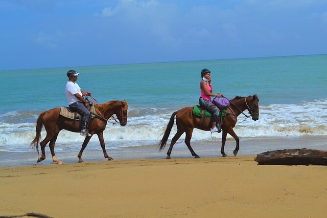 Beach Horse Ride and Countryside Amber Cove & Taino Bay - Included Amenities and Services