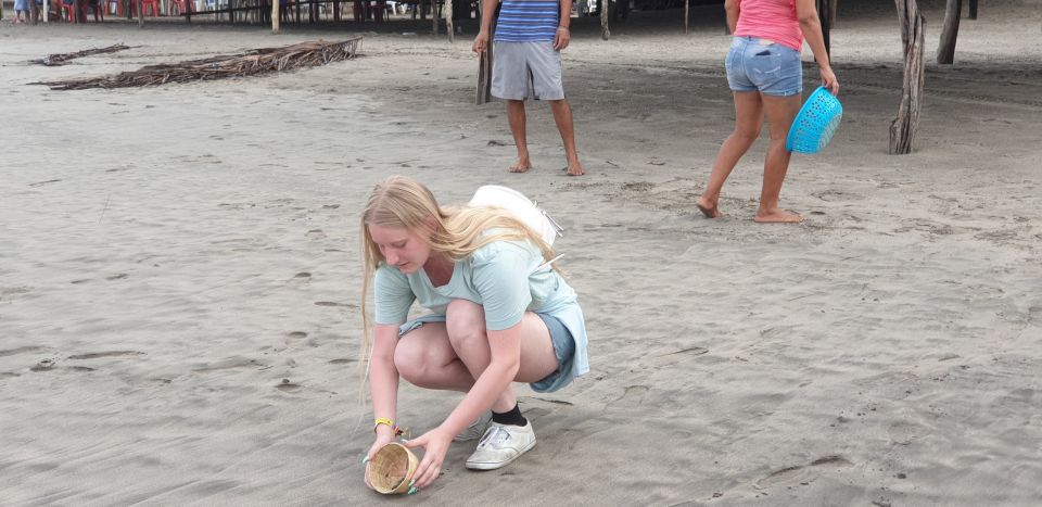 .Beach Horse Riding Turtle Release Crocodile Farm Experience - Key Points
