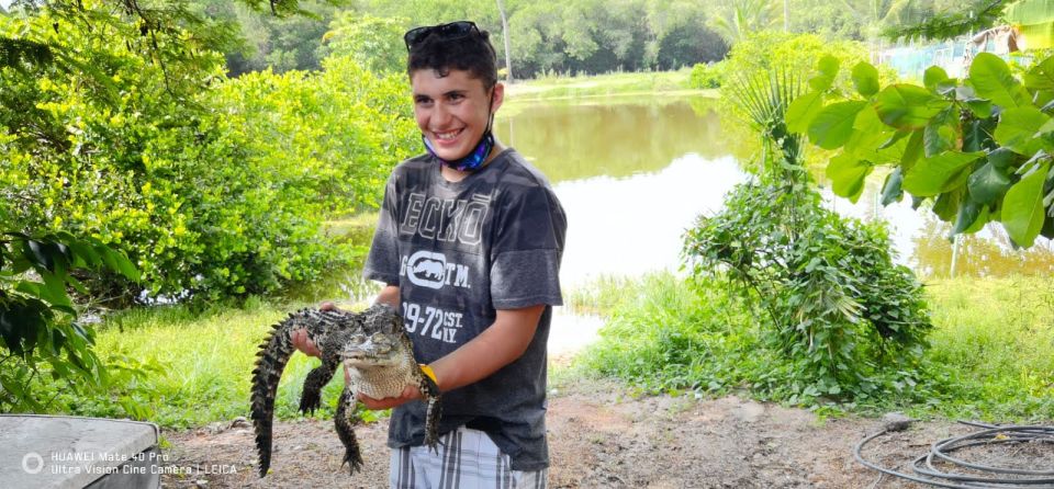 .Beach Horse Riding Turtle Release Crocodile Farm Experience - Discounts and Booking