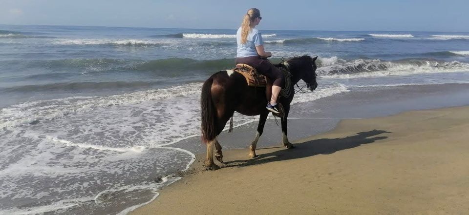 .Beach Horse Riding Turtle Release Crocodile Farm Experience - Inclusions