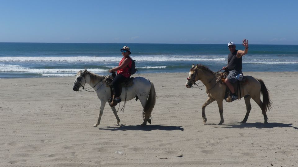 .Beach Horse Riding Turtle Release Crocodile Farm Experience - Beach Horse Riding