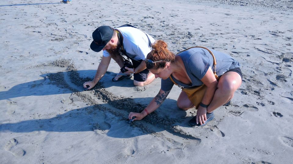 .Beach Horse Riding Turtle Release Crocodile Farm Experience - Turtle Release Ceremony