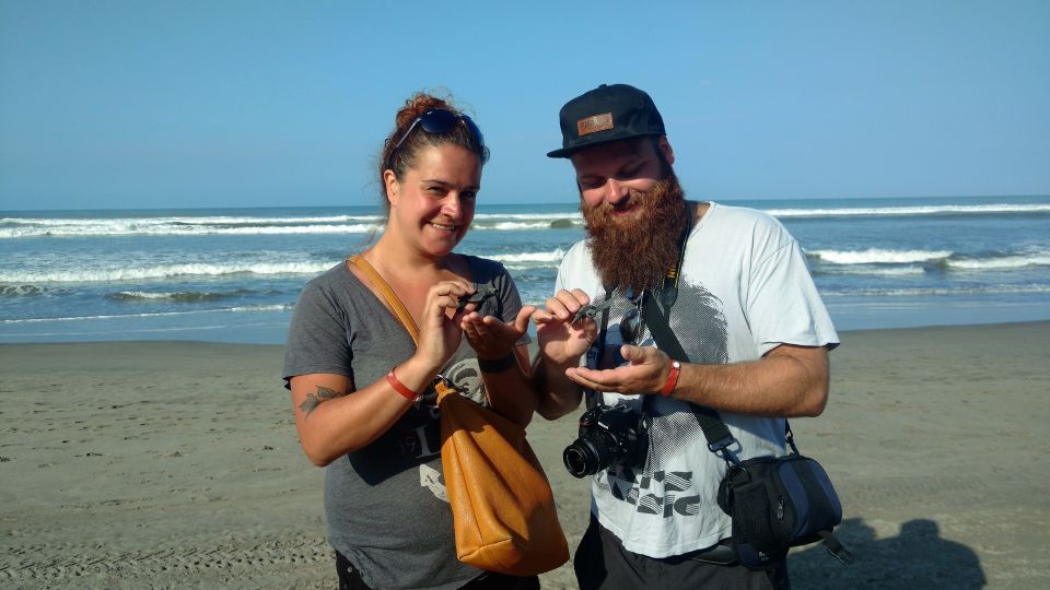 .Beach Horse Riding Turtle Release Crocodile Farm Experience - Crocodile Farm Exploration