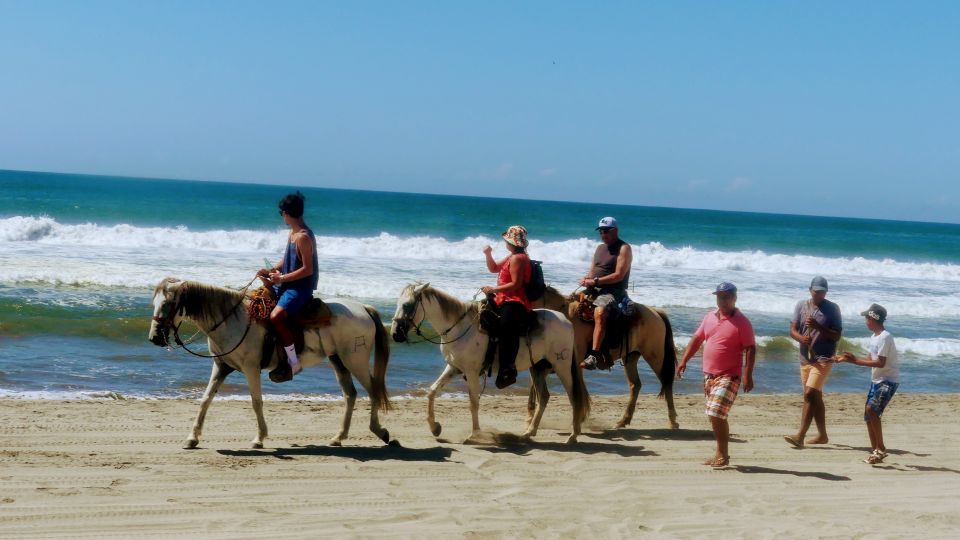 .Beach Horse Riding Turtle Release Crocodile Farm Experience - Frequently Asked Questions
