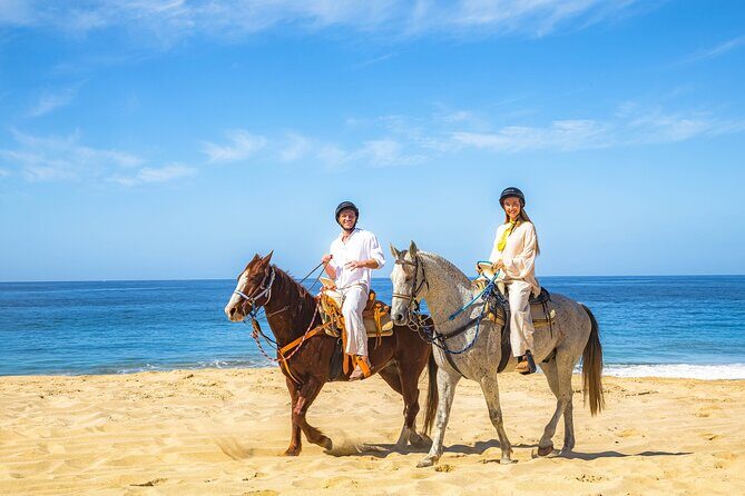 Beach Horseback Ride & Can-Am X3 Tour  Cabo Combo - Final Thoughts: Is This Tour for You?