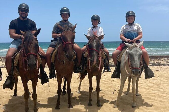 Beach Horseback Ride Tour at Punta Cana - FAQ