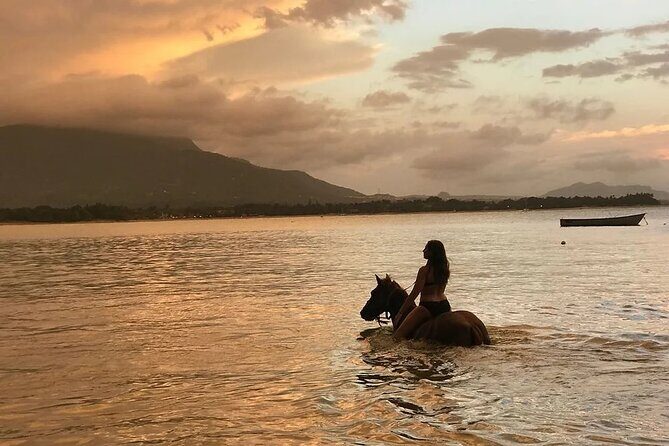 Beach Horseback Ride Tour in Puerto Plata - Scenic & Fun for All - An In-Depth Look at the Beach Horseback Ride Tour