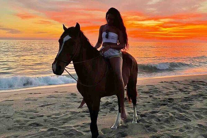Beach Horseback Riding Adventure in Copalita, Huatulco - Key Points