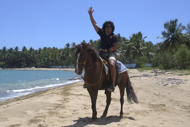 Beach Horseback Riding and Swim Horse in Puerto Plata - The Quality of Guides and Horses: What Travelers Say