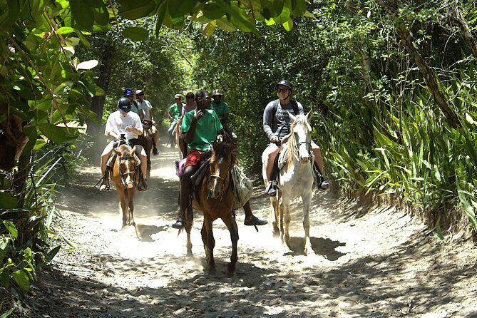Beach Horseback Riding and Swim Horse in Puerto Plata - Pricing and Value for Money