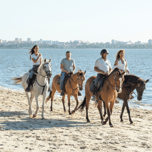 Beach Horseback Riding in GROUP + Photo Report - PDT - An Introduction to the Experience