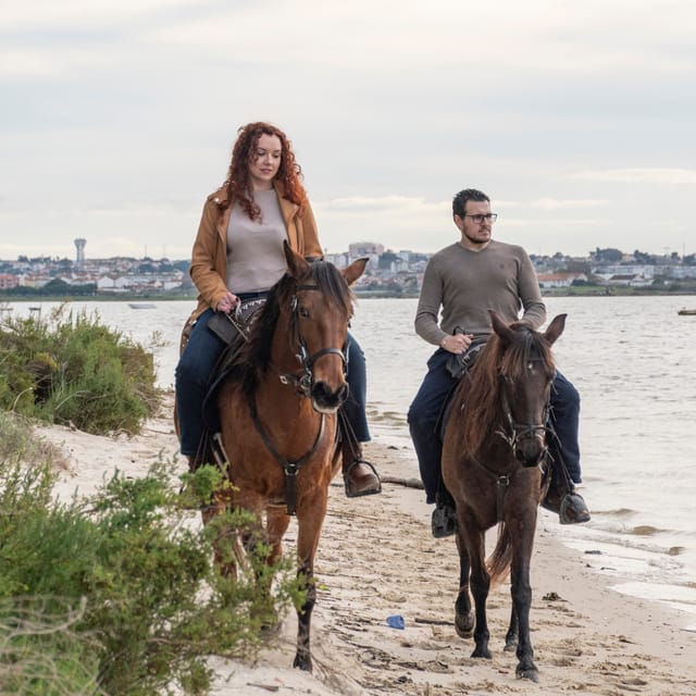 Beach Horseback Riding in GROUP + Photo Report - PDT - The Sum Up