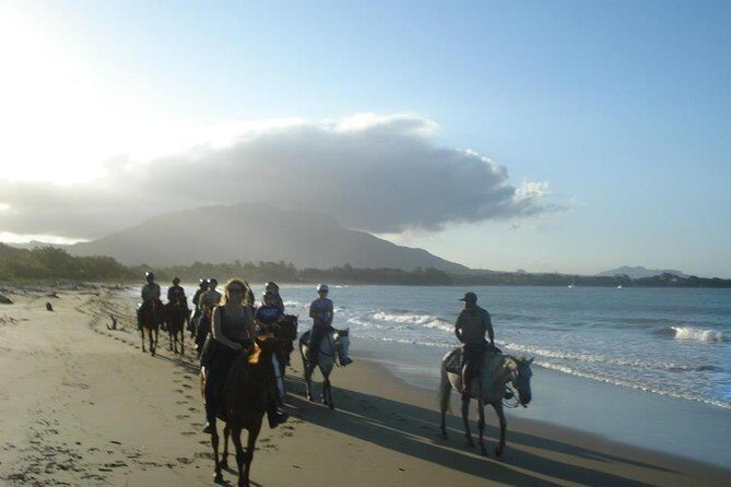 Beach Horseback Riding in Puerto Plata - An In-Depth Look at the Beach Horseback Riding Experience
