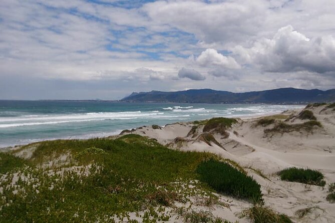 Beach Ride - Stanford - Reviews