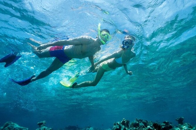 Beach Snorkeling Adventure in Lauderdale by the Sea - Inclusions