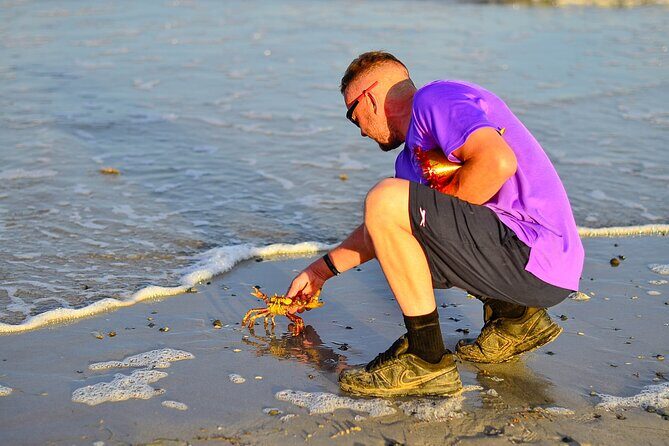 Beach Sunset on Horse Riding in Punta Cana(Private Option) - What We Like About This Tour