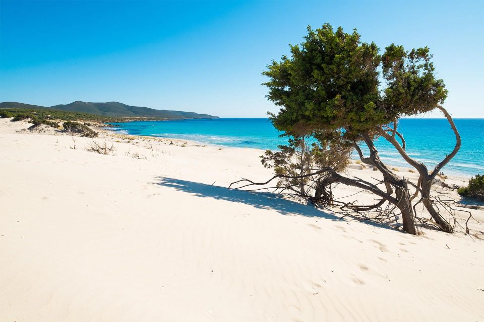 Beach Tour Porto Pino & Piscinnè From Cagliari - Relaxation at Piscinnè Beach