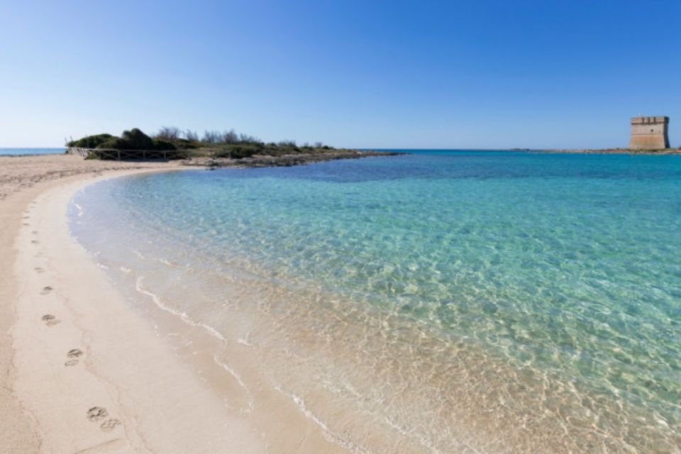 BEACH TOUR, REACH THE DREAM BEACHES - Key Points