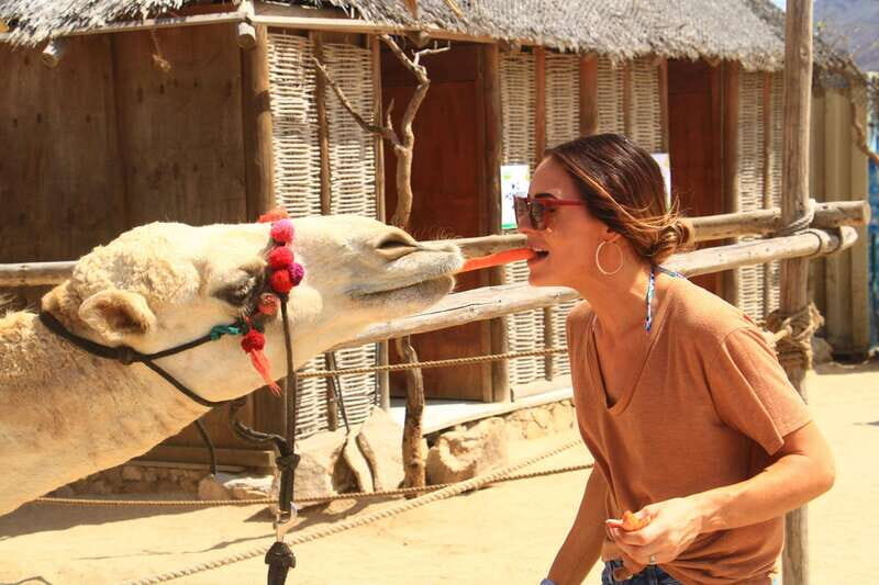 Beach UTV & Camel Ride COMBO in Cabo by Cactus Tours Park - Breaking Down the Value