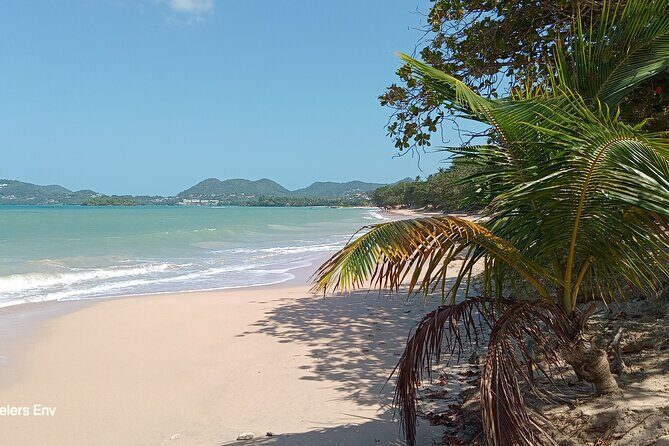 Beaches In Saint Lucia Experience - An Honest Look at the Beaches In Saint Lucia Experience