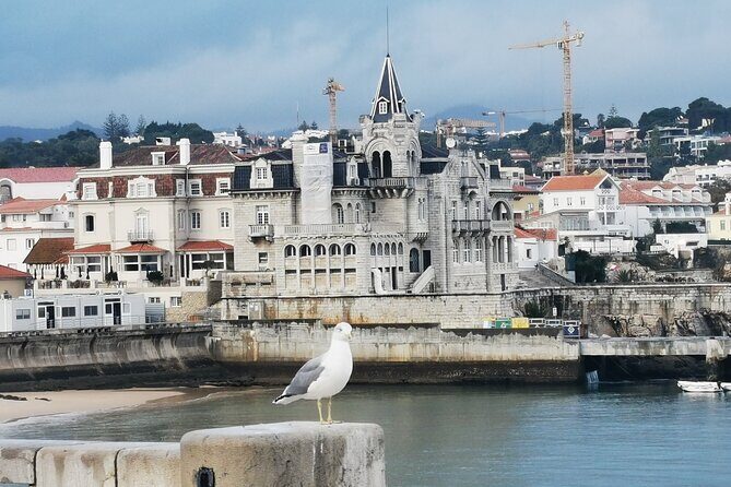 Beaches of Cascais and the Guincho Private Day Tour - FAQs