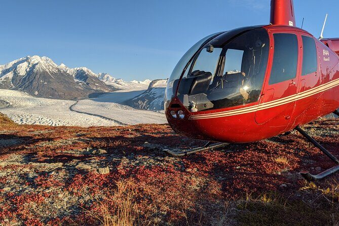 Bear Glacier Helicopter Tour with Landing - A Closer Look at the Tour Itinerary