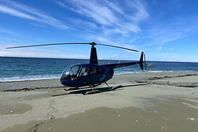 Bear Glacier Helicopter Tour with Landing - Frequently Asked Questions